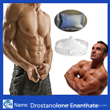 Culturismo Masteron Esteroides Polvo Drostanolone Enanthate